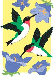 2hummingbirds-app