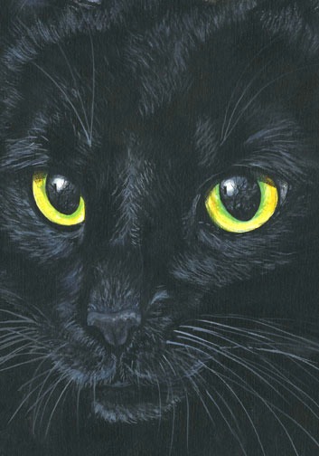 Big-Black-Cat