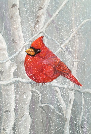 Cardinal-birches