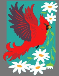 Cardinal_Daisies