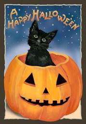 cat-in-pumpkin