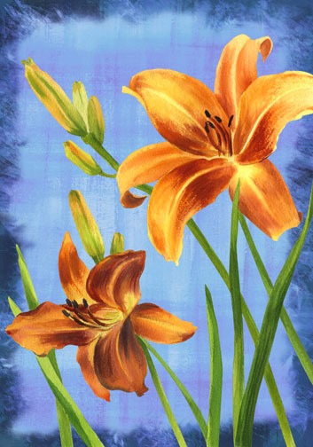 daylilies