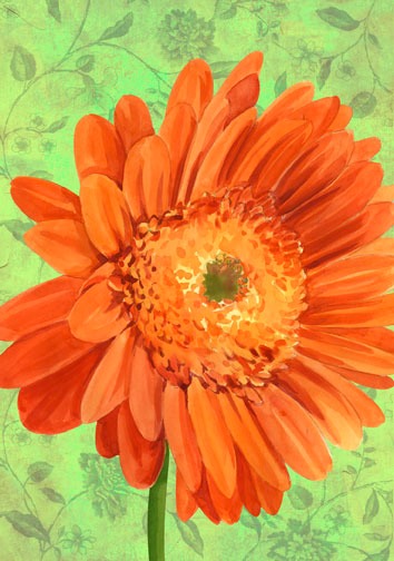 Gerber-Daisy