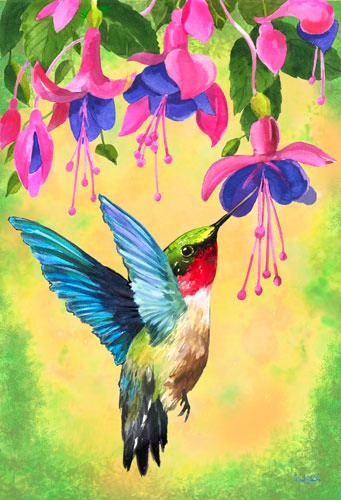Hummingbird-Fuschsia