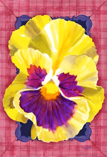 pansy