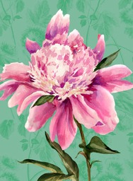 peony