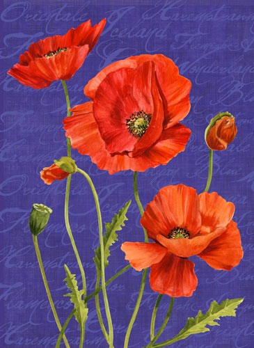 poppies